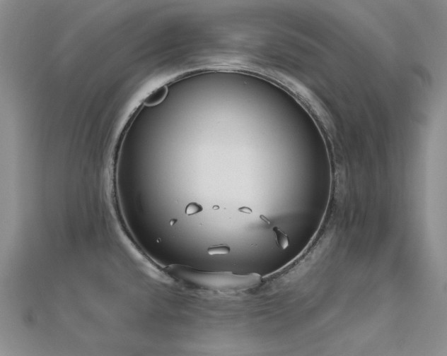 X0000113151432200909041223