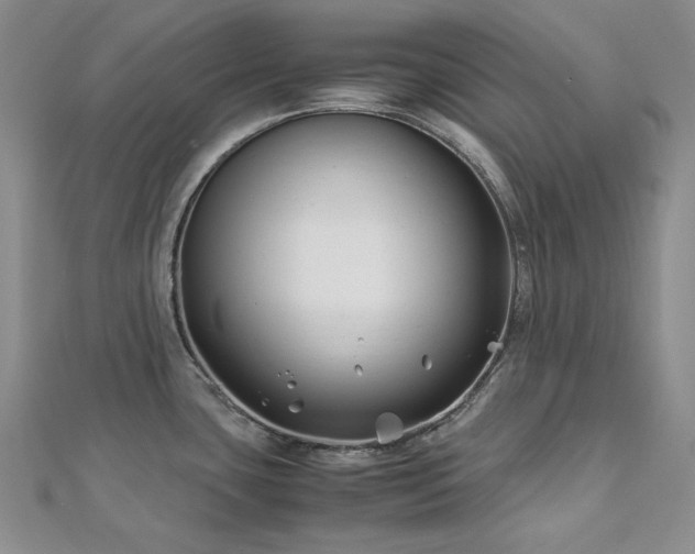 X0000113151435200909041224