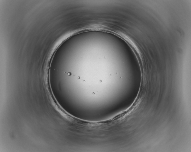 X0000113151437200909041224