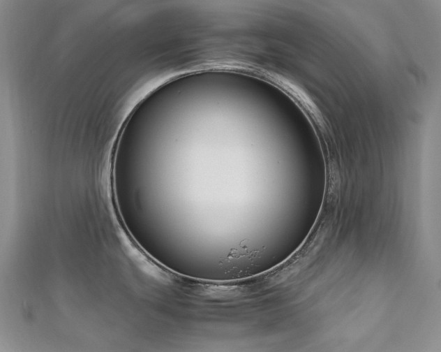 X0000113151439200909041224