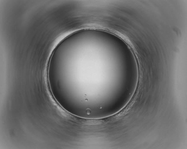 X0000113151440200909041224