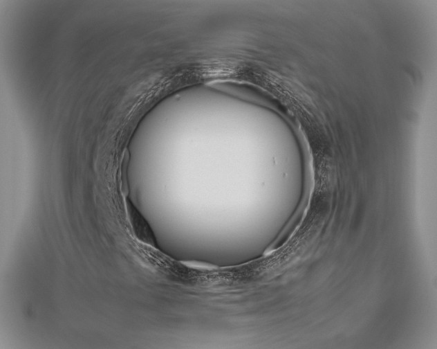 X0000113151441200909041223