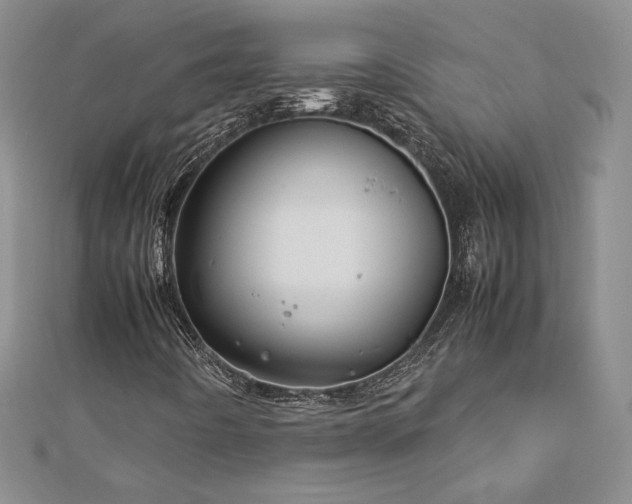 X0000113151442200909041223