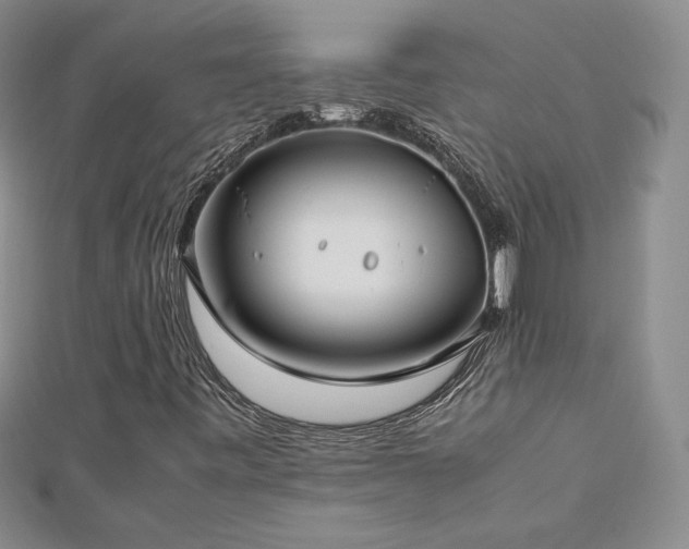 X0000113151443200909041223