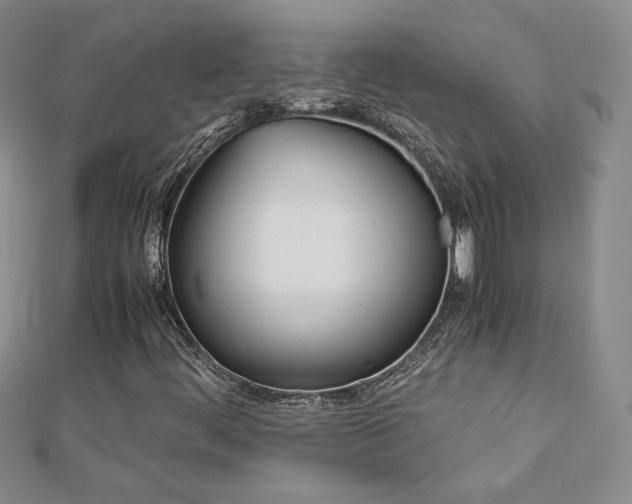 X0000113151444200909041223