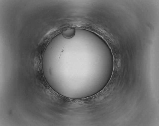 X0000113151446200909041223