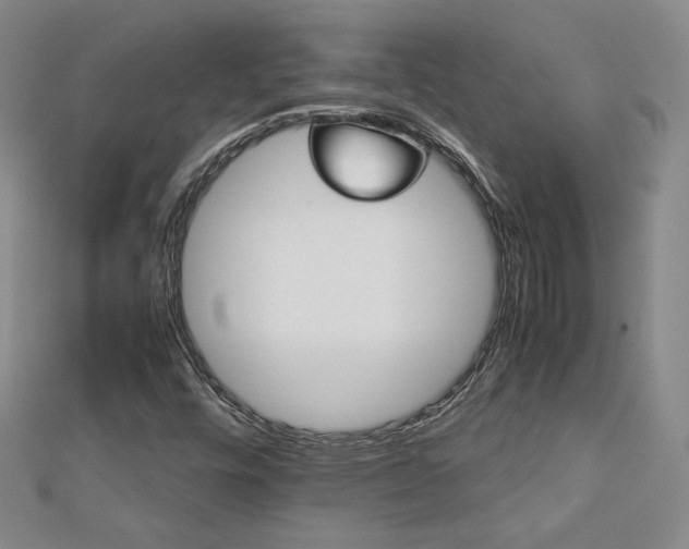 X0000113151448200909041223
