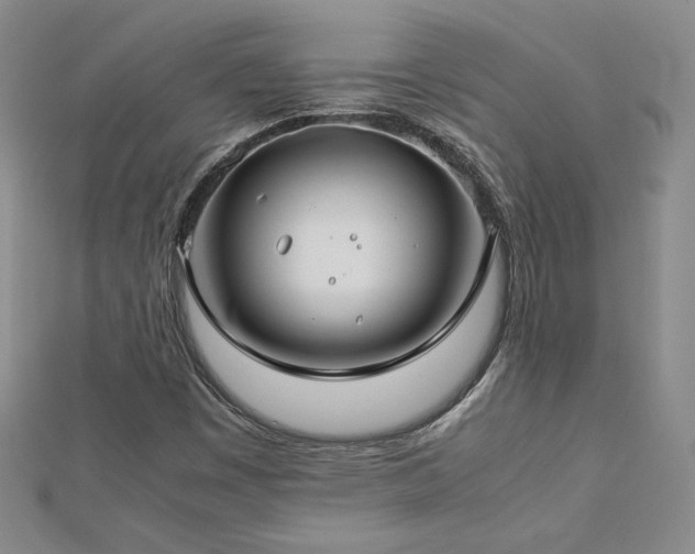 X0000113151449200909041223