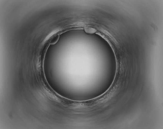 X0000113151450200909041223