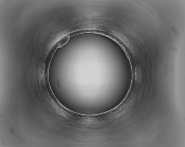 X0000113151452200909041223