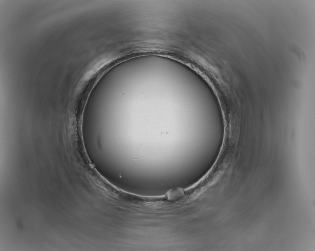 X0000113151453200909041223