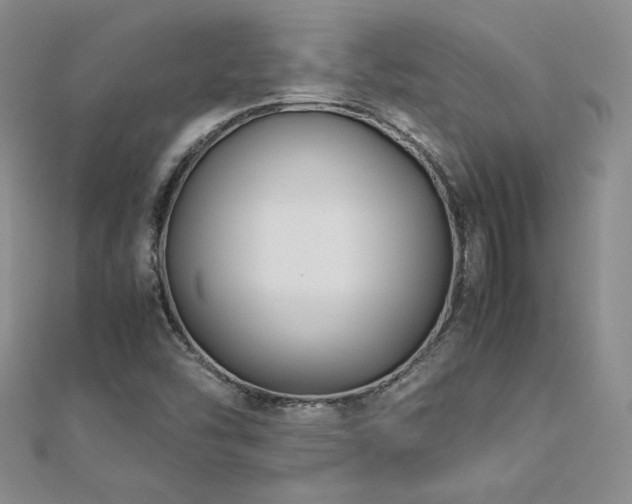 X0000113151454200909041223