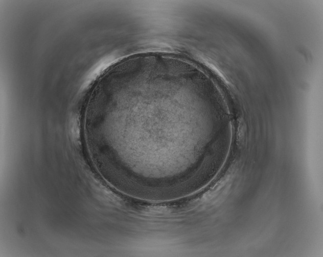 X0000113151455200909041223
