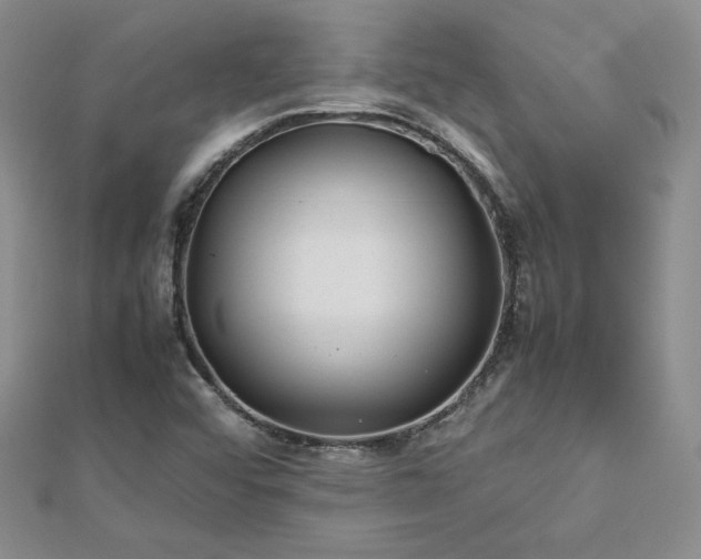 X0000113151456200909041223