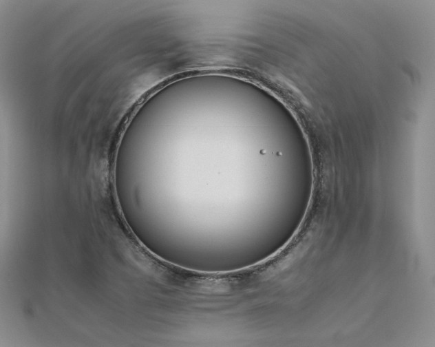 X0000113151457200909041223