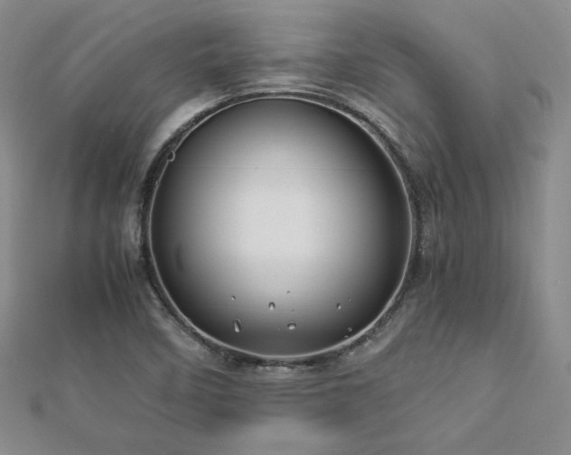 X0000113151458200909041223
