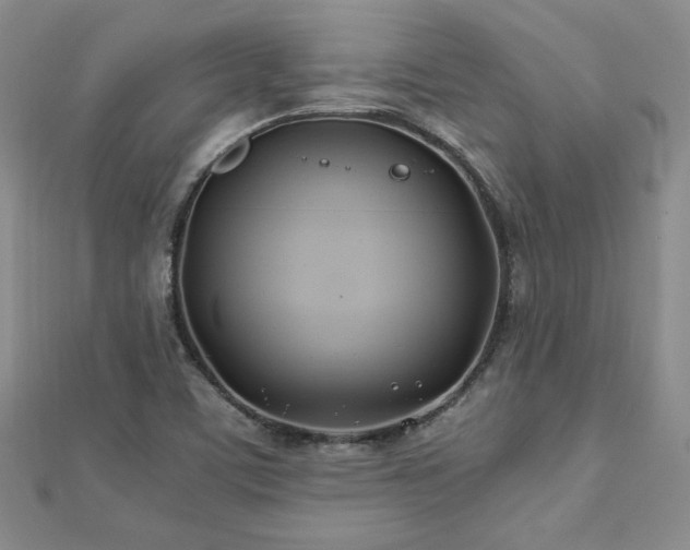 X0000113151459200909041223