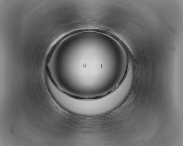 X0000113151460200909041223
