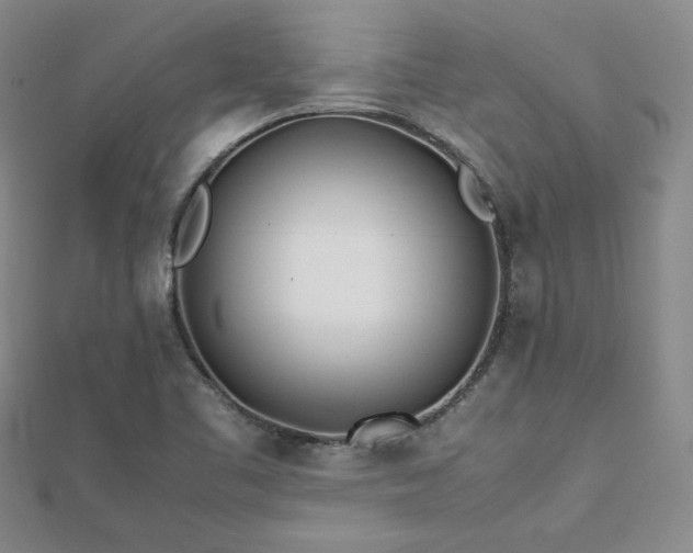 X0000113151461200909041223