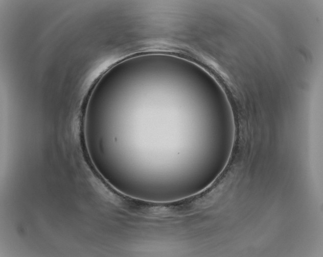 X0000113151463200909041223