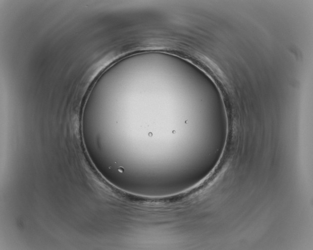 X0000113151465200909041223