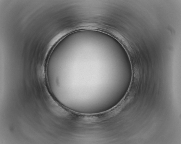 X0000113151466200909041223