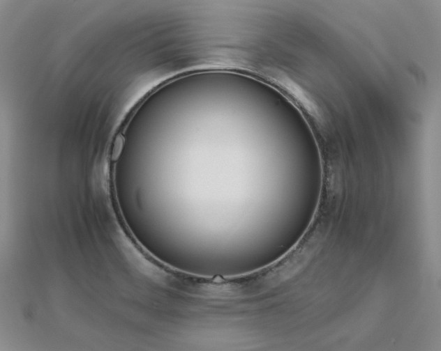 X0000113151468200909041223