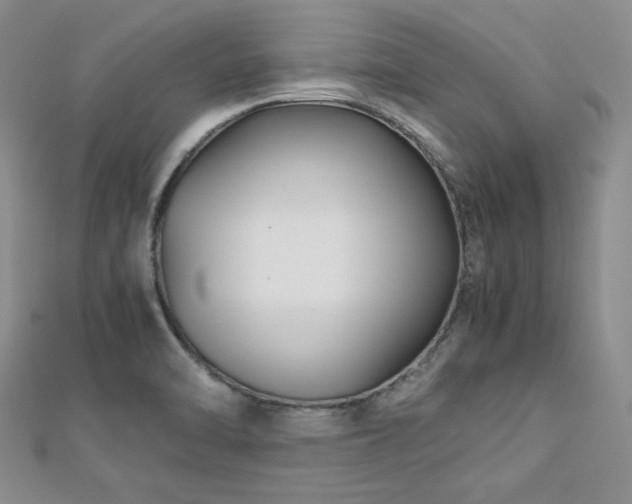 X0000113151470200909041223