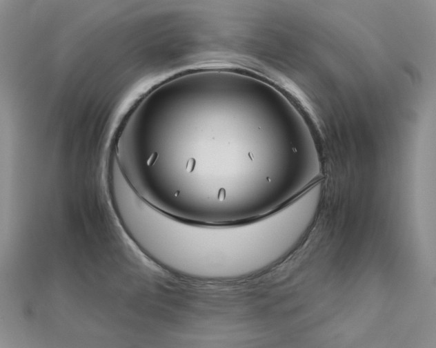 X0000113151472200909041223