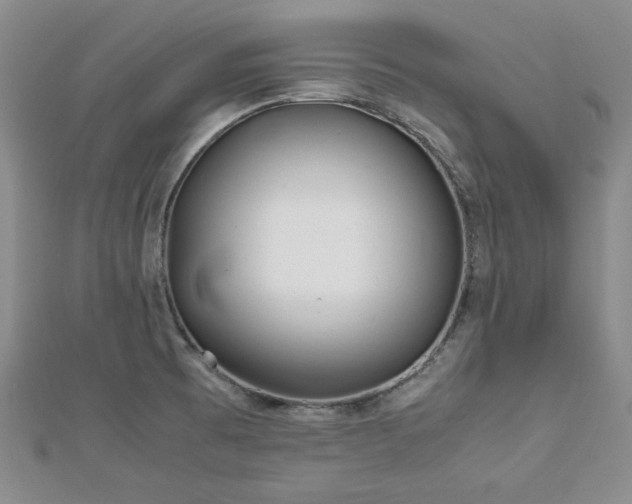 X0000113151473200909041223