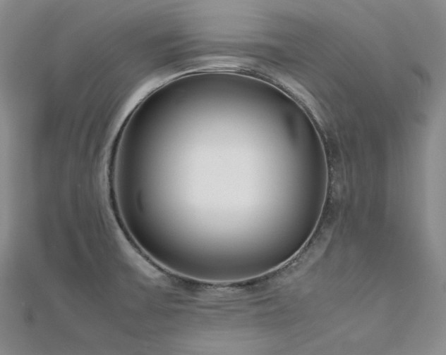 X0000113151475200909041223