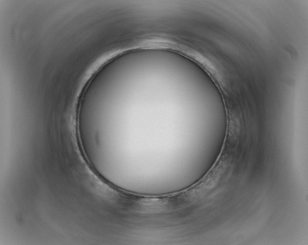 X0000113151478200909041222