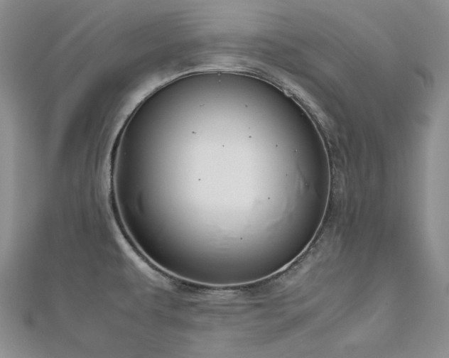 X0000113151479200909041222