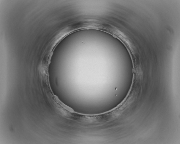 X0000113151481200909041222