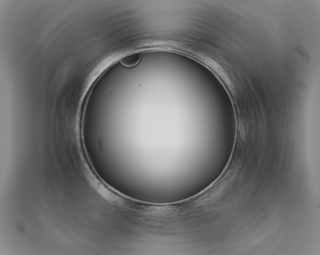 X0000113151482200909041222