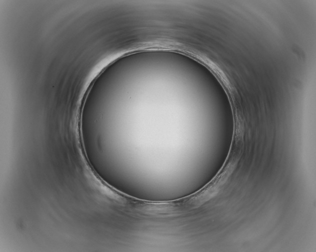 X0000113151486200909041222