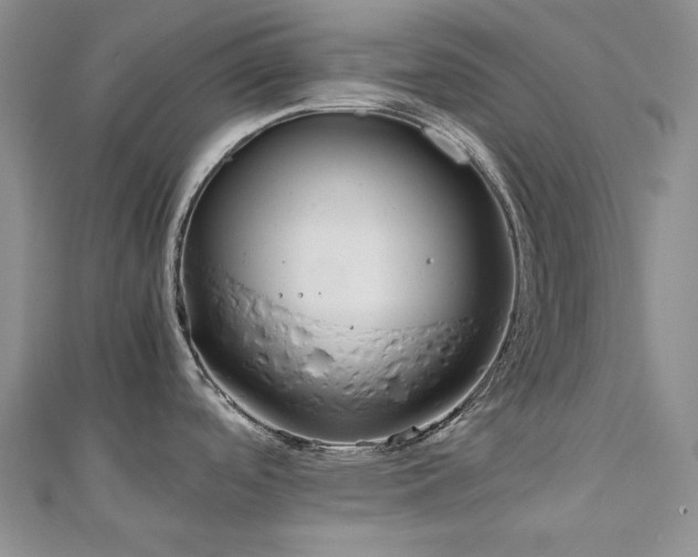 X0000113151488200909041222