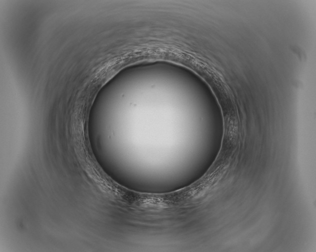 X0000113151489200909041222