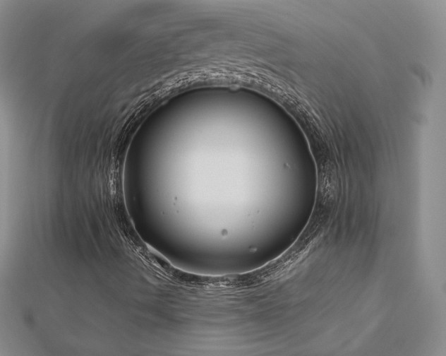 X0000113151490200909041222