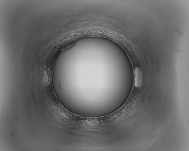 X0000113151491200909041222