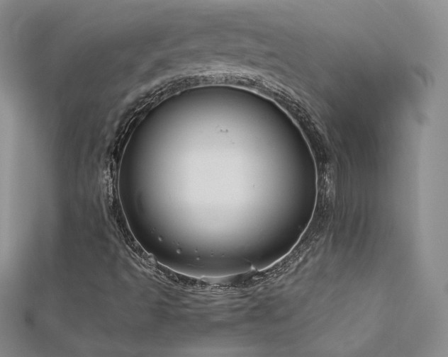 X0000113151493200909041222