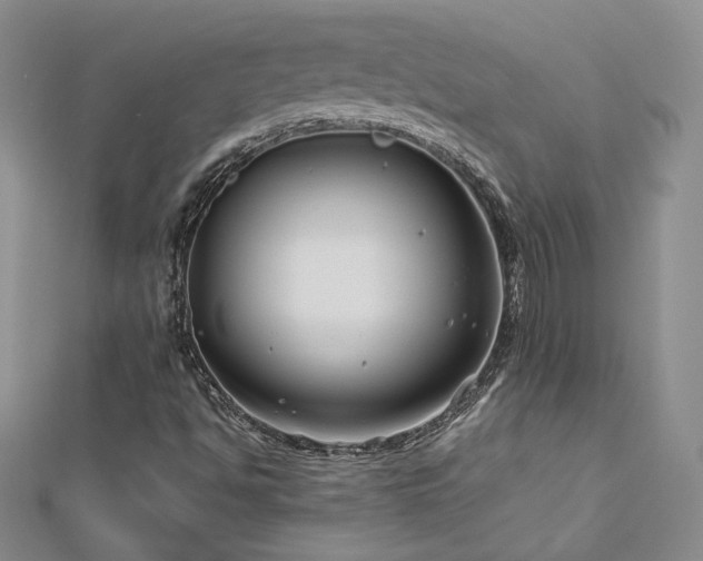 X0000113151494200909041222