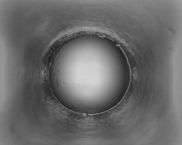 X0000113151495200909041222