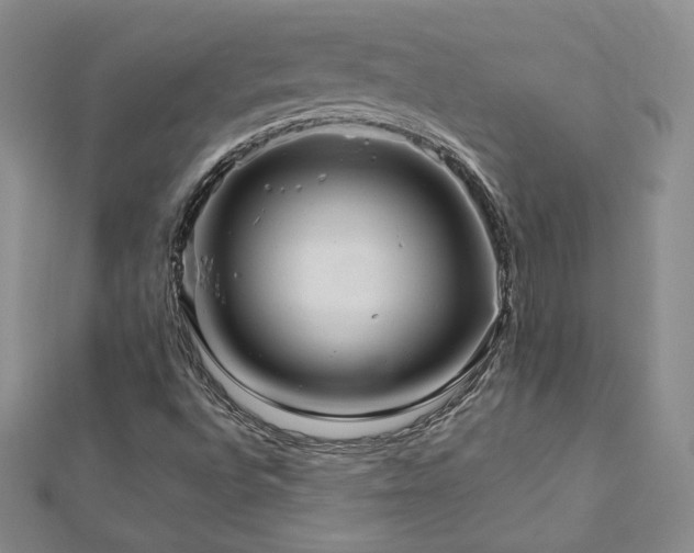 X0000113151496200909041222