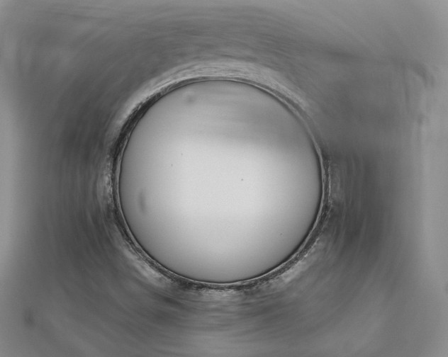 X0000113151498200909041222
