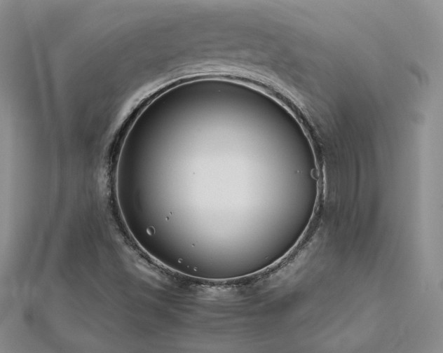 X0000113151501200909041222