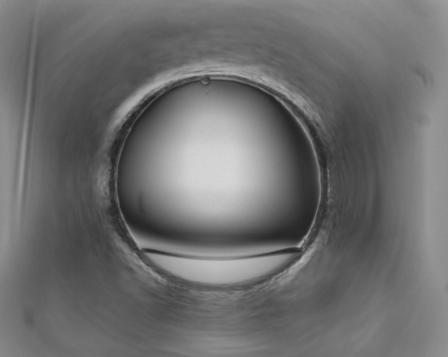 X0000113151502200909041222