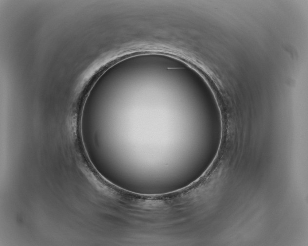 X0000113151503200909041222