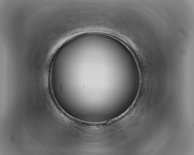 X0000113151504200909041222