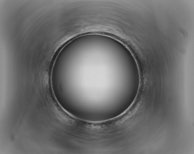 X0000113151505200909041222